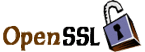 OpenSSL 2 Logo